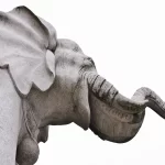 Elefante Blanco: Significado Espiritual y Simbolismo