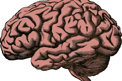 hipocampo significado espiritual