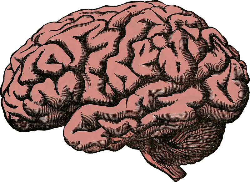 hipocampo significado espiritual